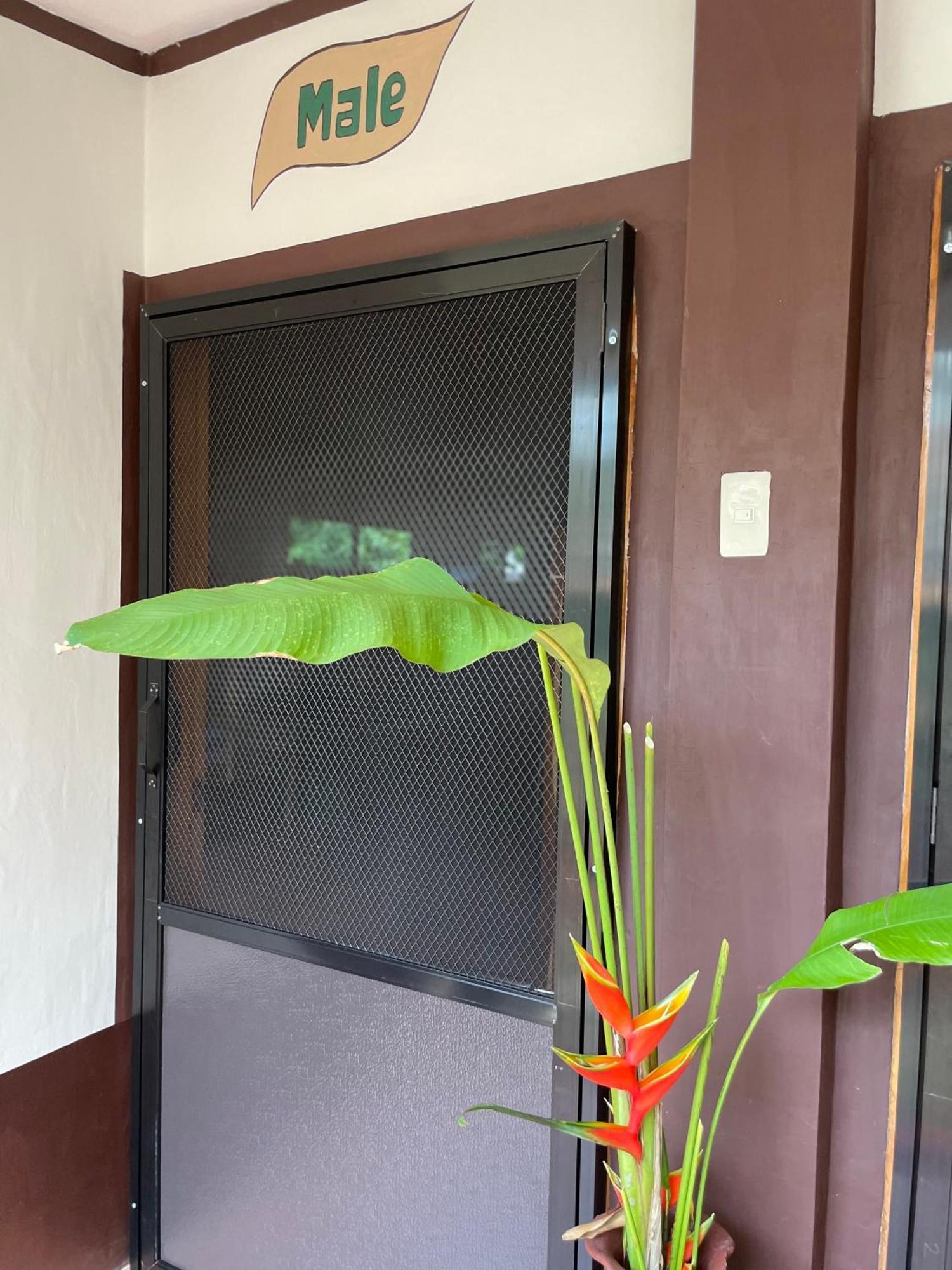 Chelle'S Guesthouse And Backpackers シキホール エクステリア 写真